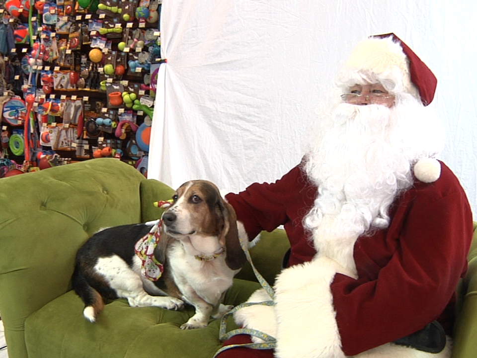 2017.12.02. Santa Dogs . 11 (1)