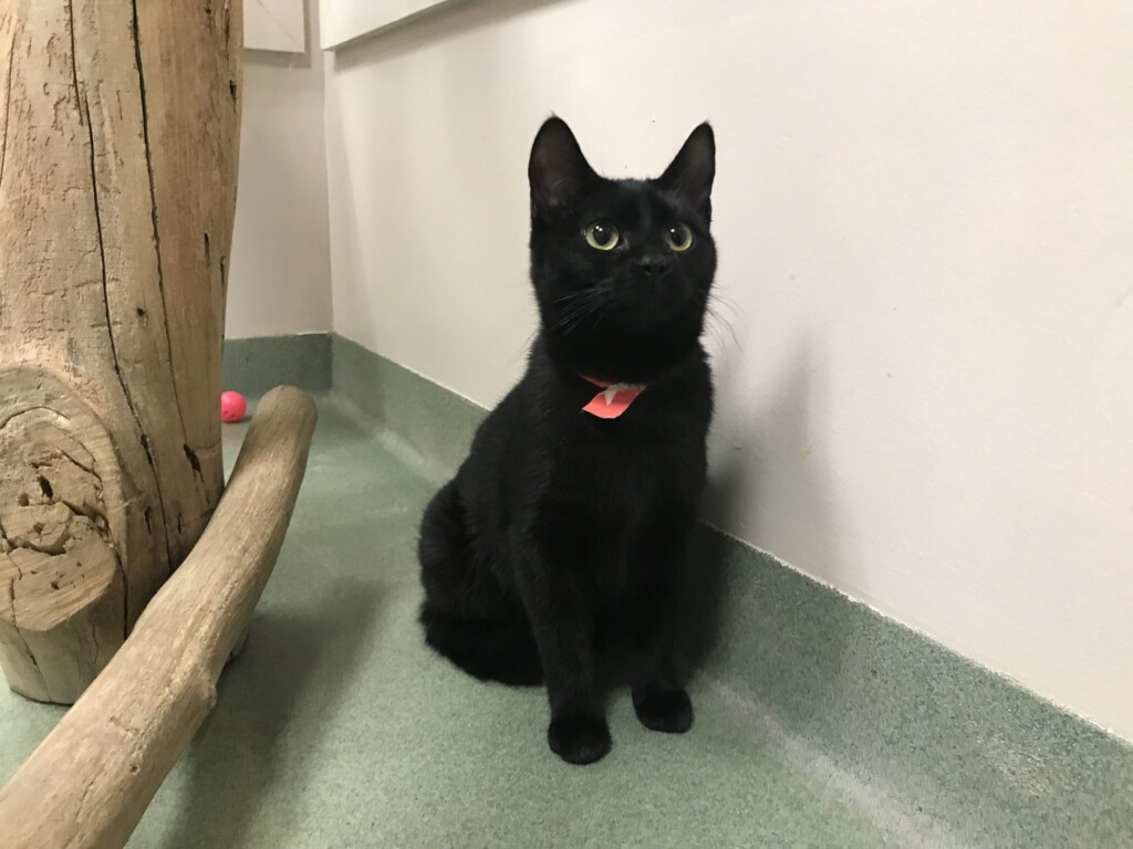 F4c5690a 2df1 4486 8f75 786f0dd92cfb