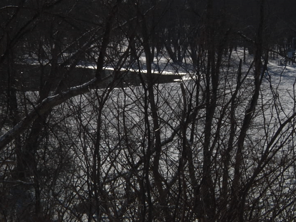 2018.01.18 Ice Jam Muskingum Pic