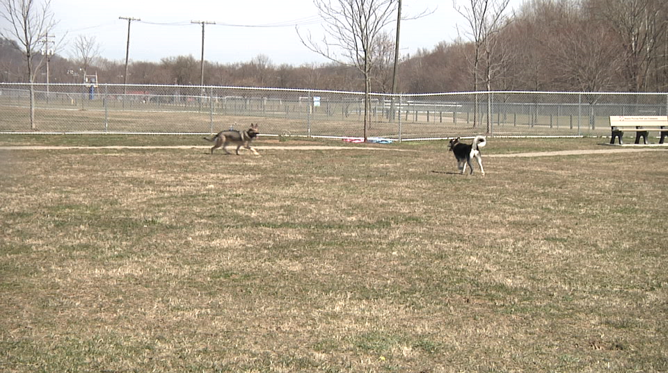 2018.03.19 Dog Park Reopens Pic 1