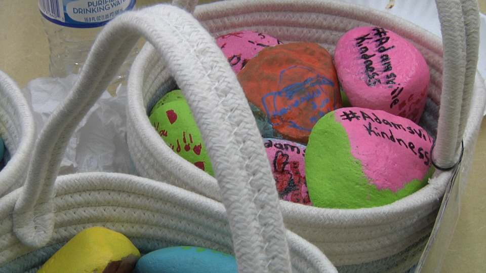 2018.03.23 Rocks At School Pic