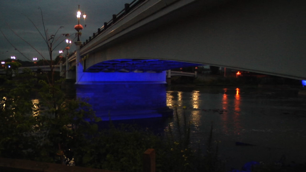 Bridge Lights