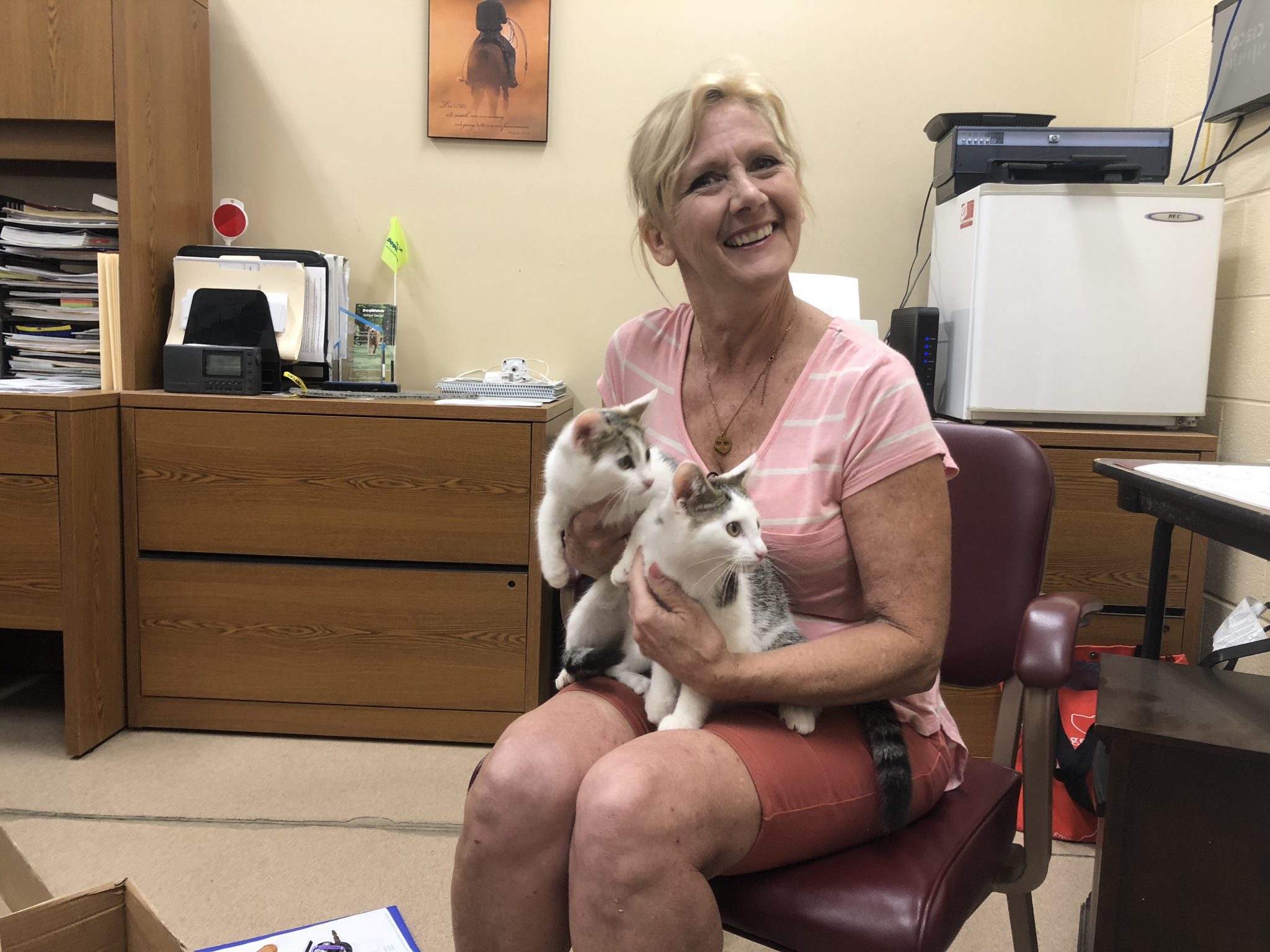 Muskingum County Animal Shelter - qzod0ja