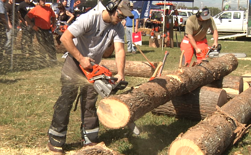 Paul B Show At The Fairgrounds 825x510