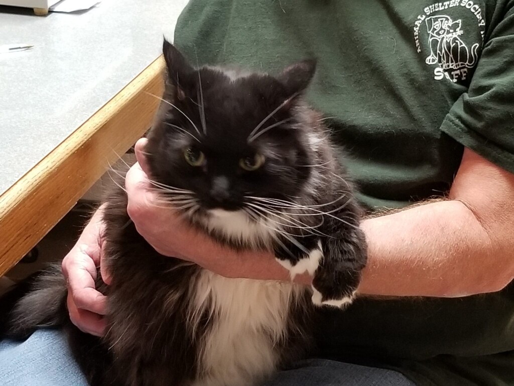 Bandit