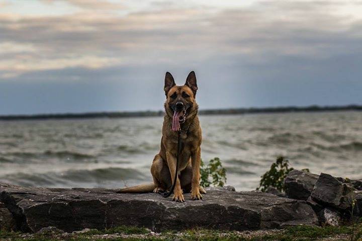 Argo 2