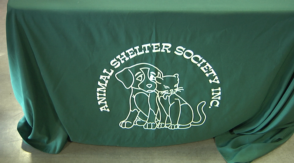 Animal Shelter
