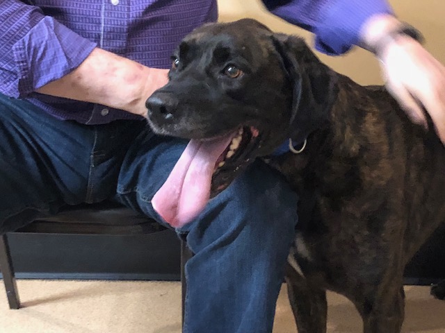 Tank Pet Of The Week