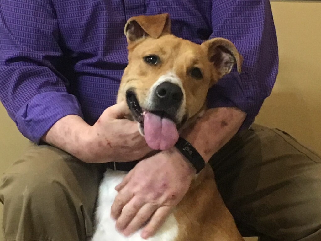 Axel