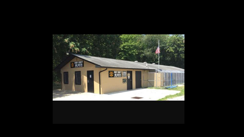 Dogshelter