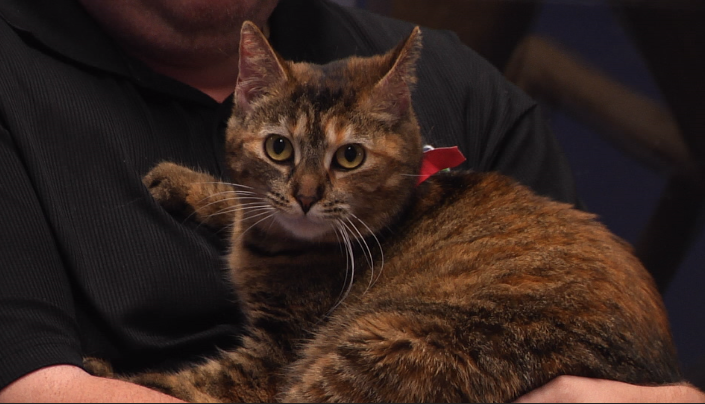 Madelyne Pet Of The Week