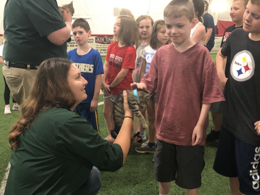 Fieldhouse Animal Shelter