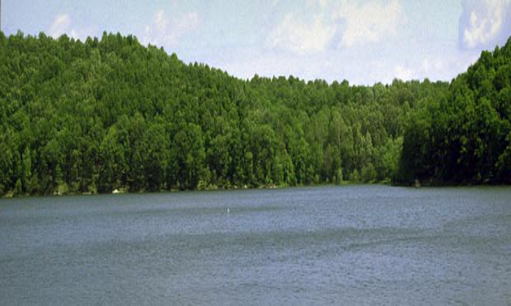 Saltfork4
