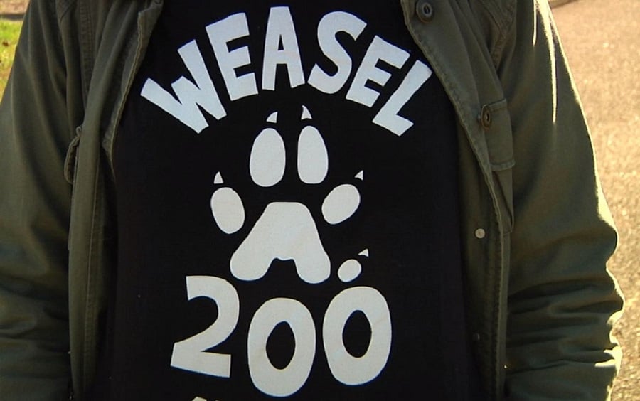 Weasel200