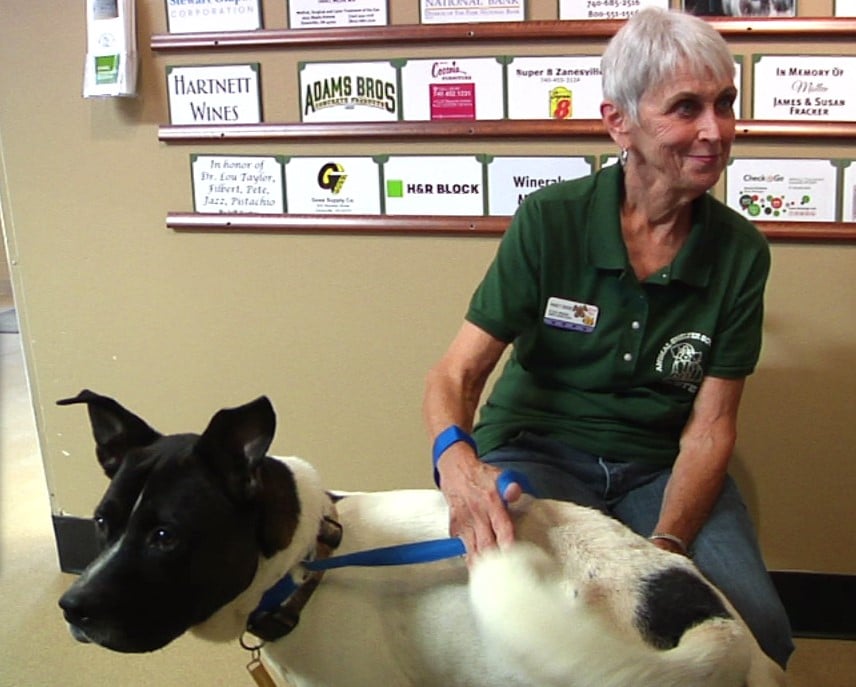 Tucker Pet Of Week