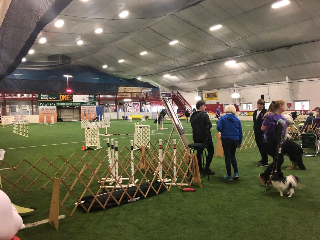 Dog Show