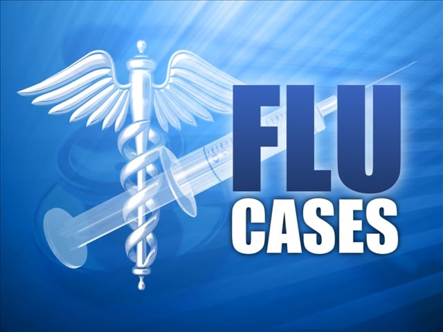Flu1
