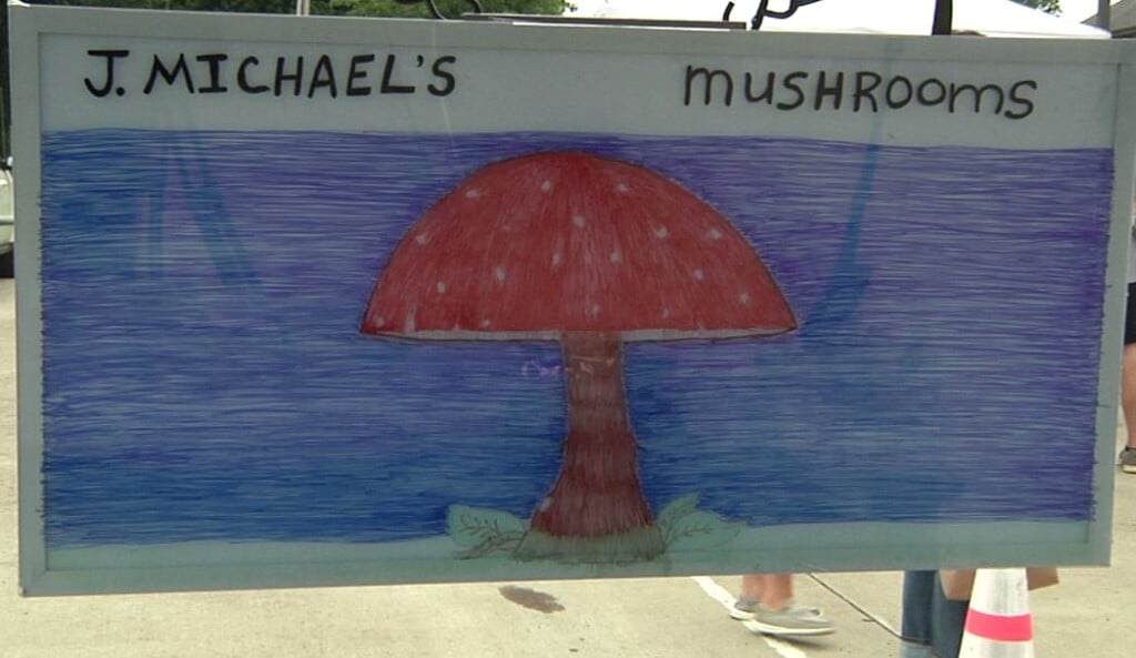 Mushroom