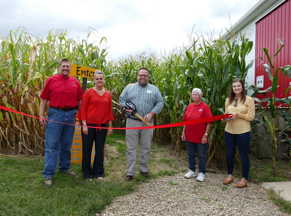 Corn Maze Ribbon 2
