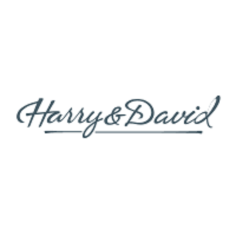 Harryanddavid (1)