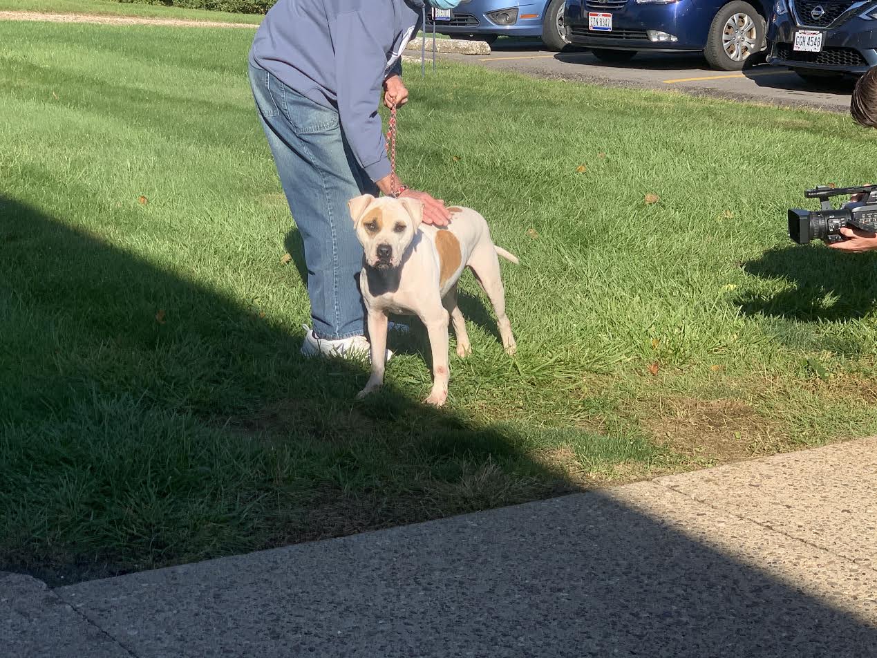 Dog Warden Celebrates Its Dog Of The Week WHIZ Fox 5 / Marquee