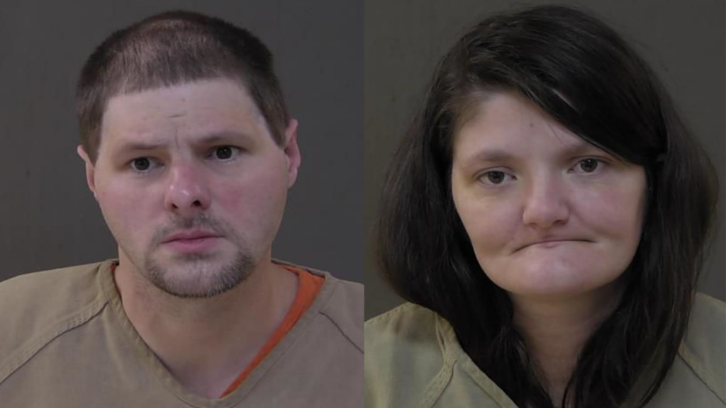 Mugshot Web (1)