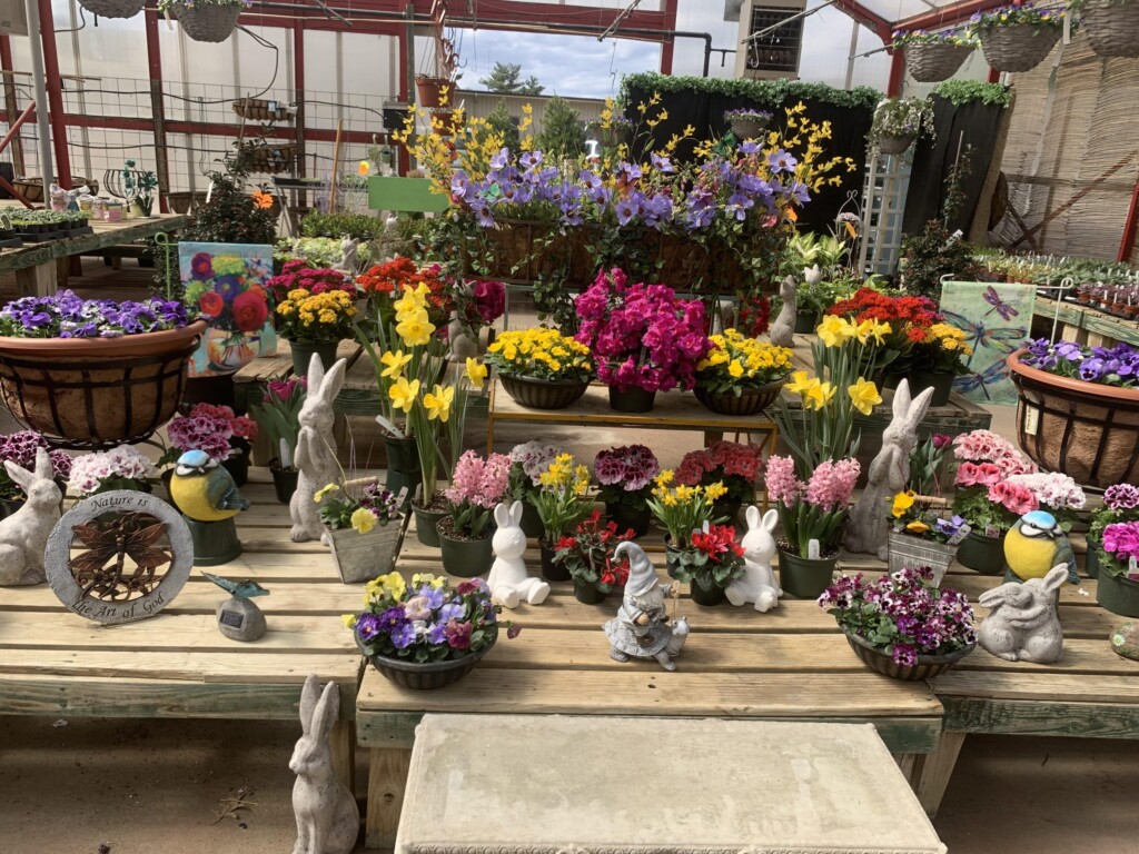 Flowers
