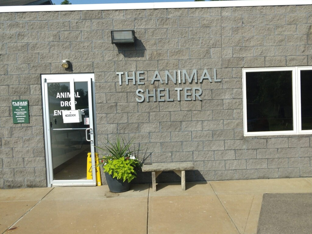 Animal Shelter