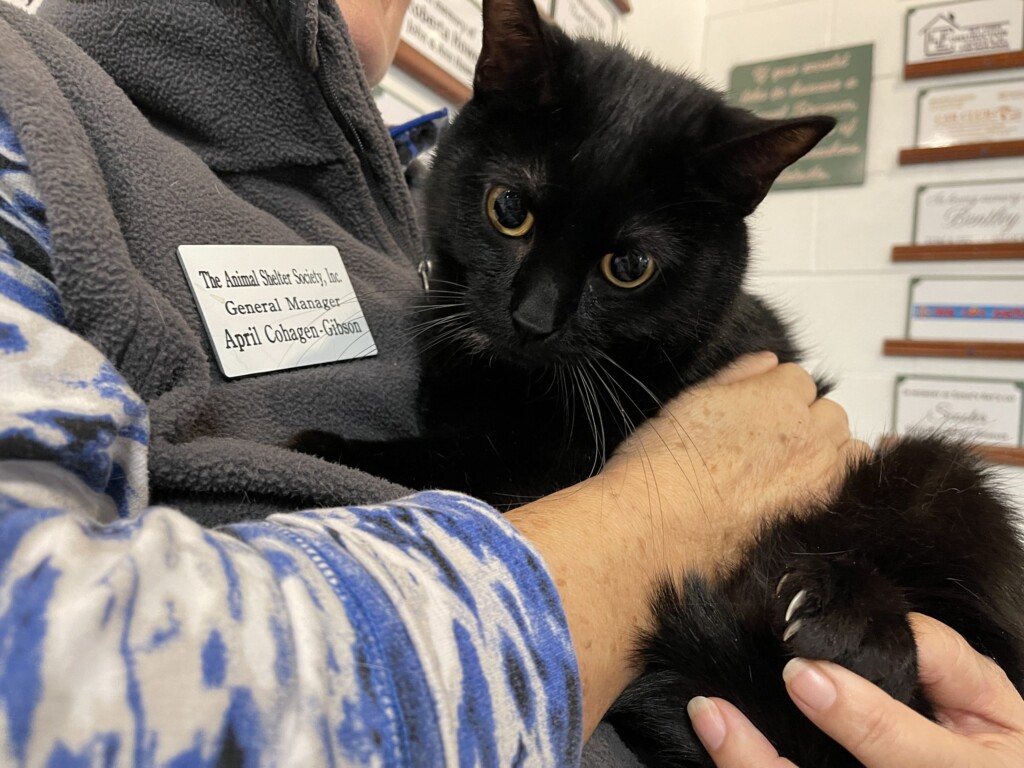 21 11 5 Pet Of The Week; Jaxon