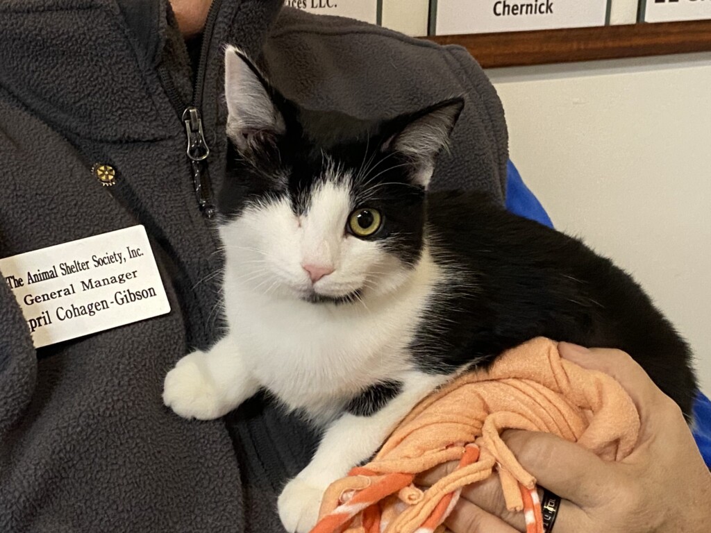 Pet Of The Week, Ms. Willow