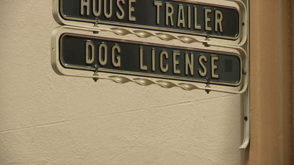 Dog License Reminder
