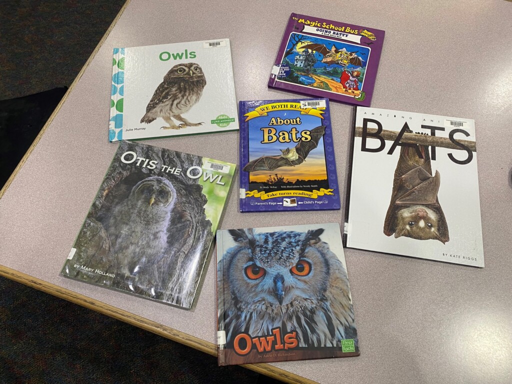 Mcls Nocturnal Program (2)