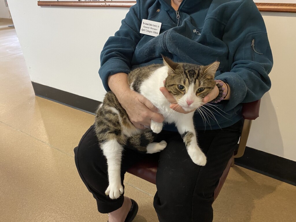 Pet Of The Week, Jana