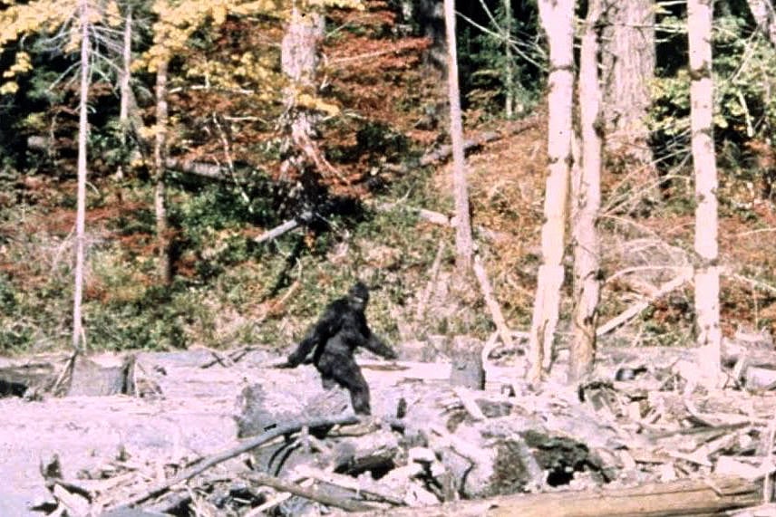 Big Foot