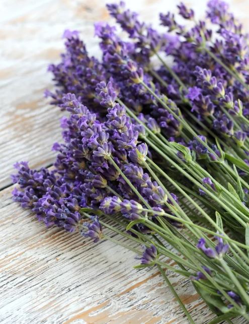 Glenda Webster Obit Pic