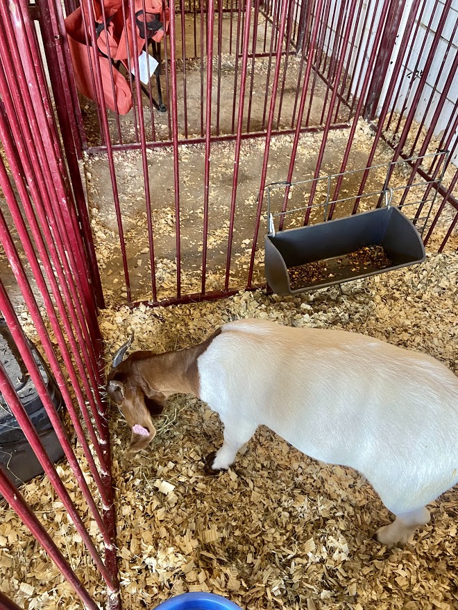 Img 0435