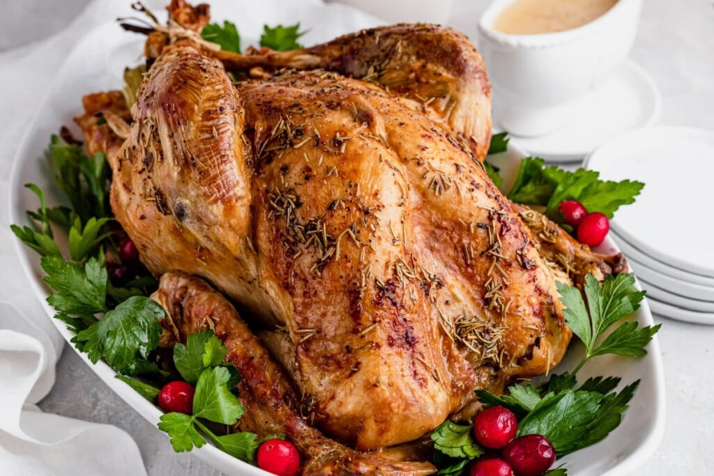 Talking Turkey; Thanksgiving Safety Tips - WHIZ - Fox 5 / Marquee ...
