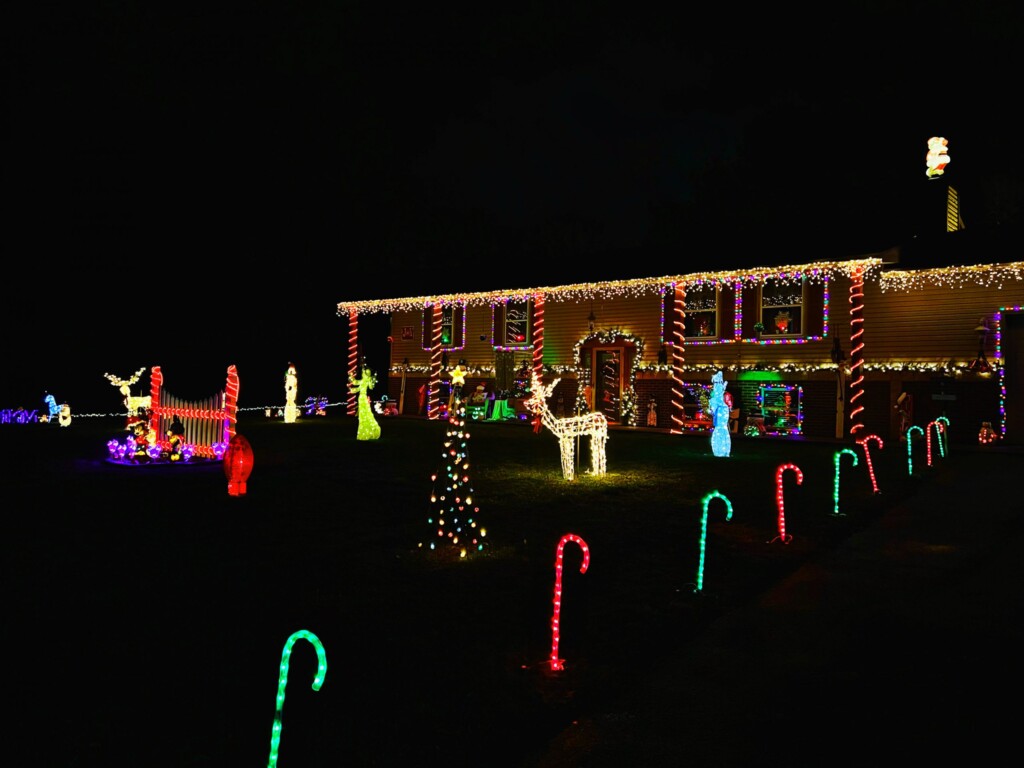 Image 6483441 (8)