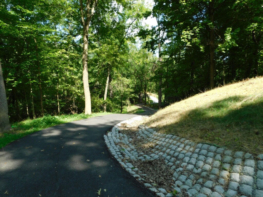 Dscn5900