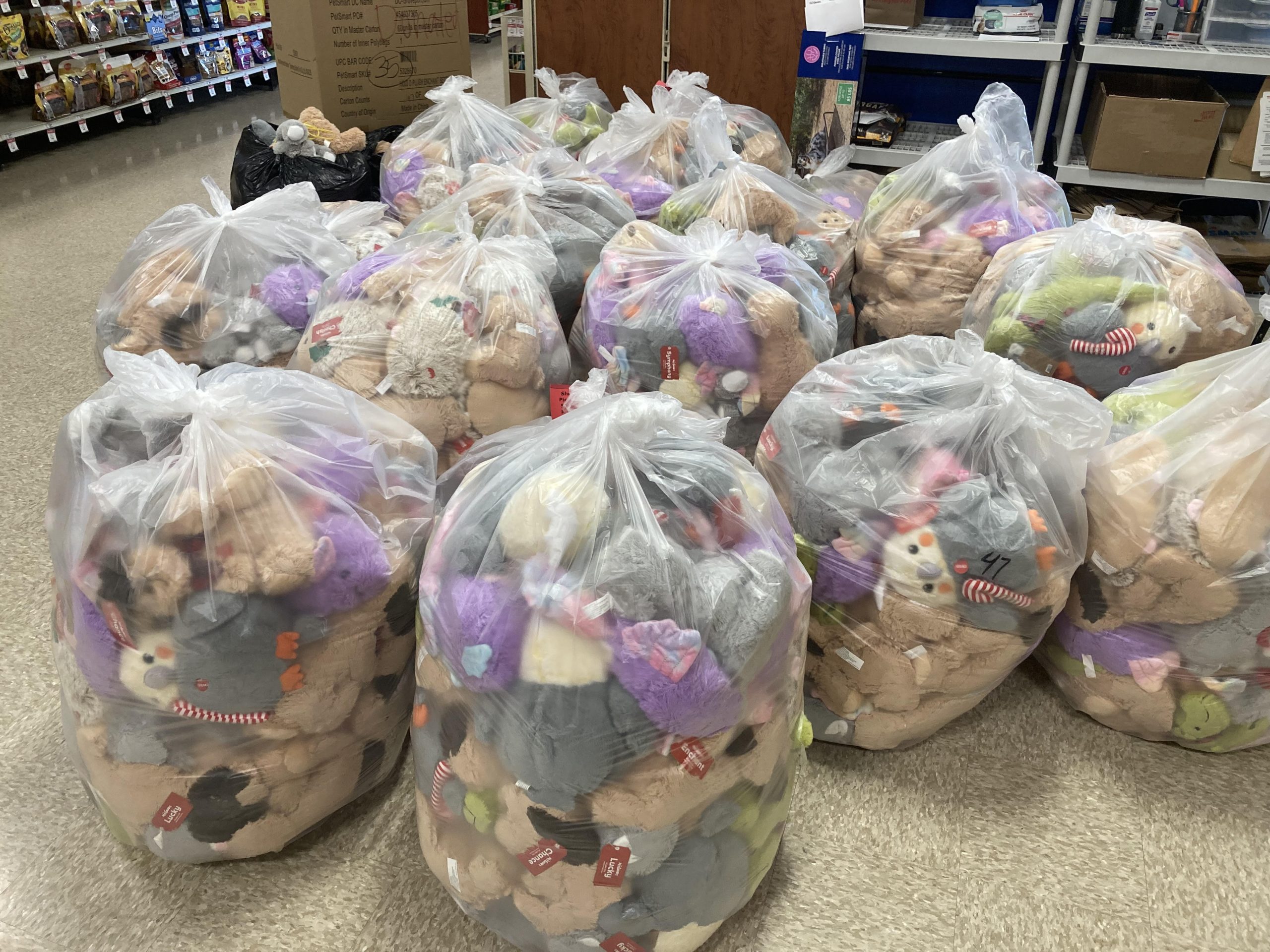 Big Brothers Big Sisters and Pet Smart Pet Smart's Charity Donation