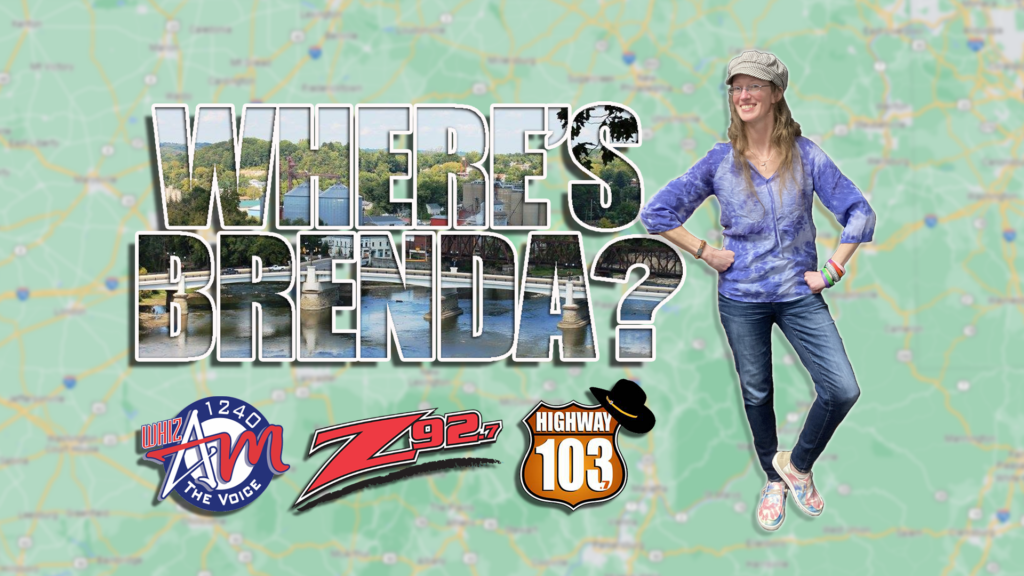 Wheres Brenda Graphic