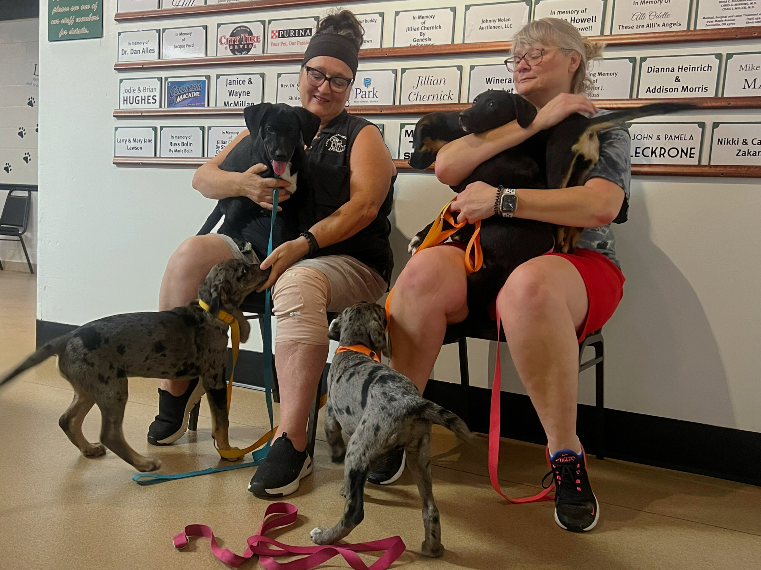 Meet The Adorable 5 Pets of The Week - WHIZ - Fox 5 / Marquee Broadcasting