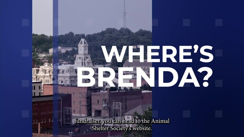 Where's Brenda Habitat