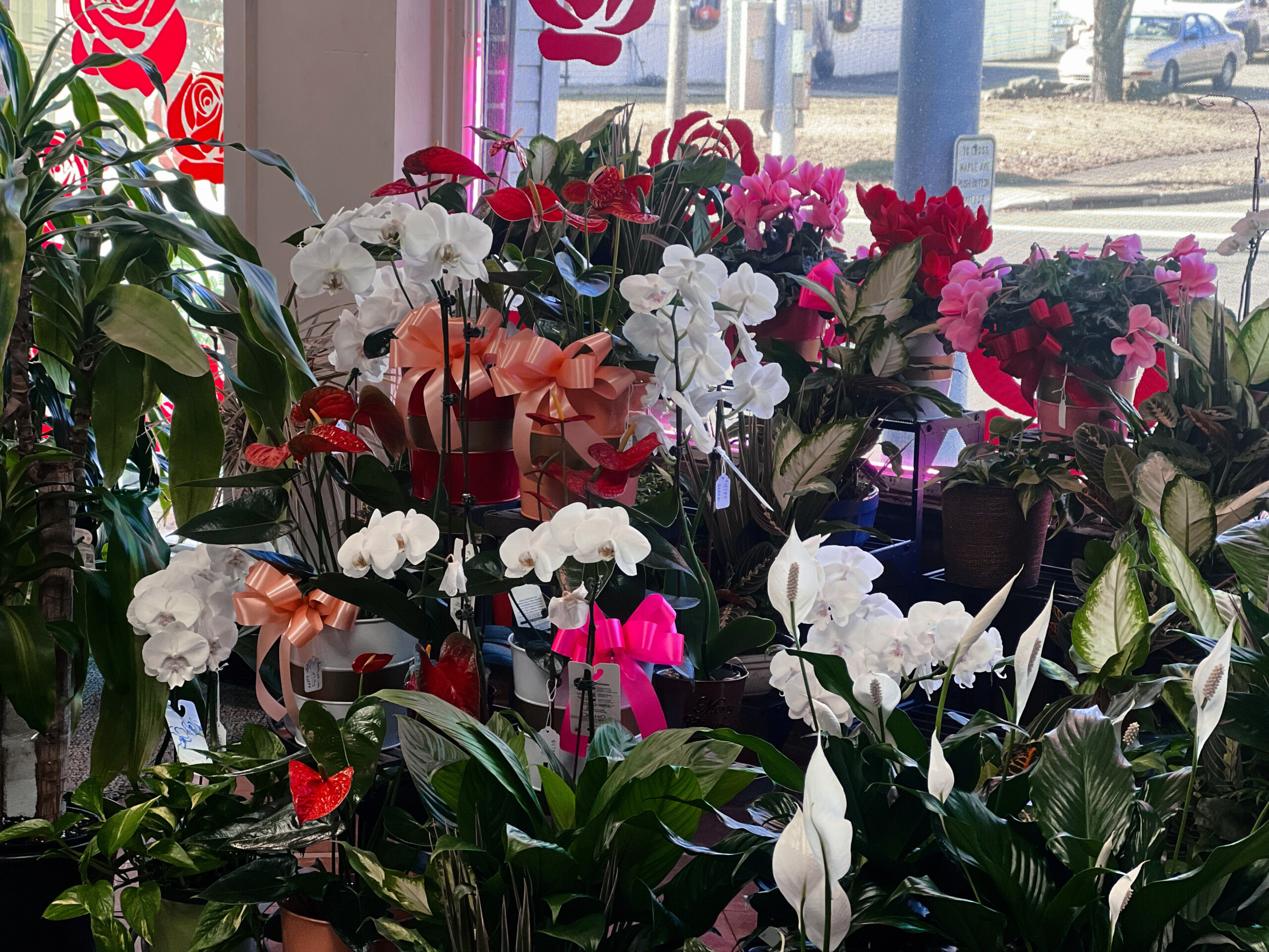 Gearing Up for the Season of Love WHIZ Fox 5 / Marquee Broadcasting