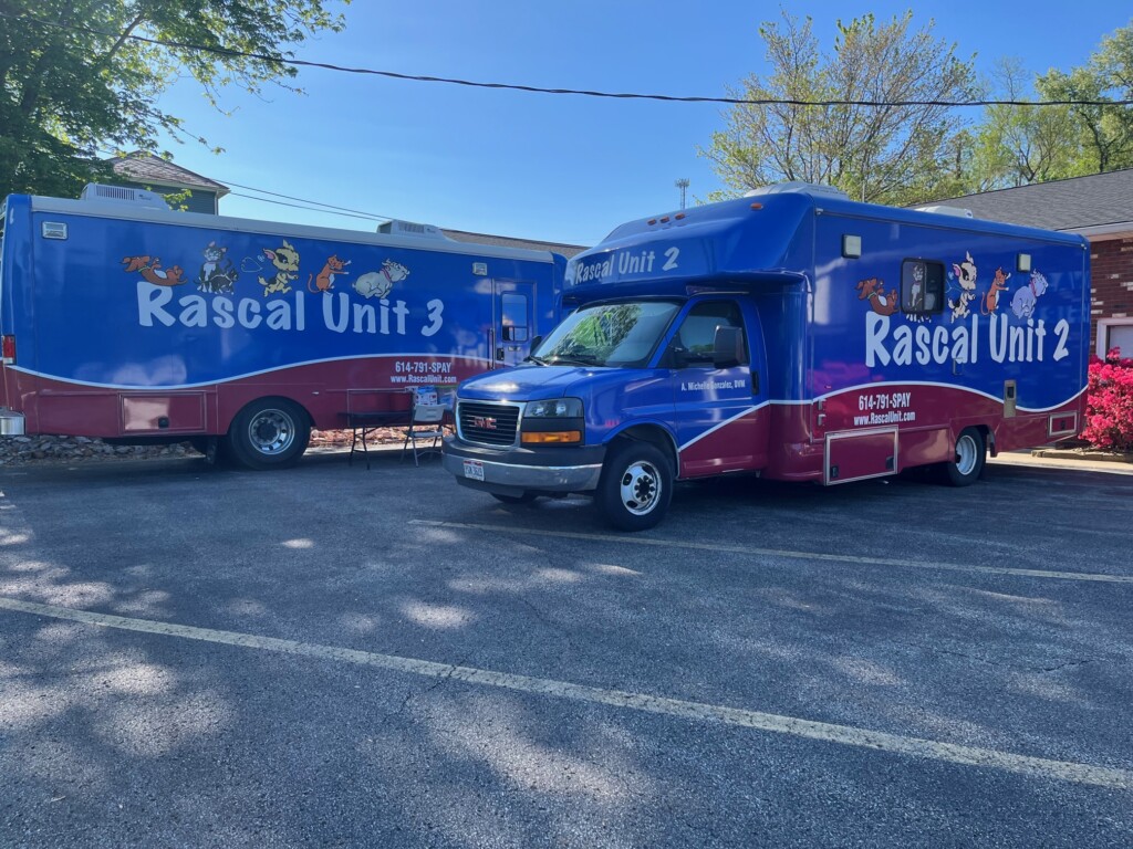 Rascal Clinic