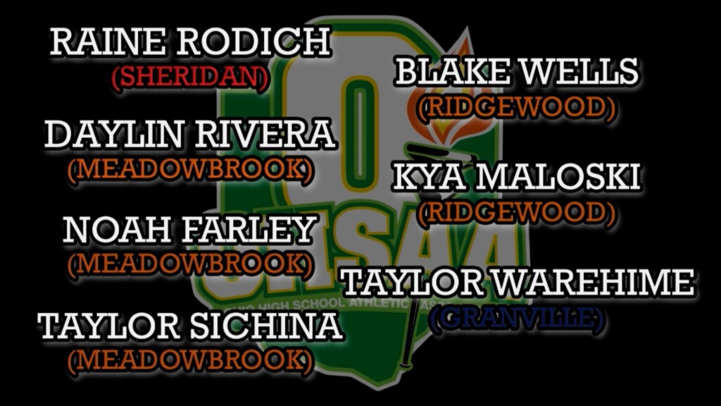 Ohsaa Scholarships