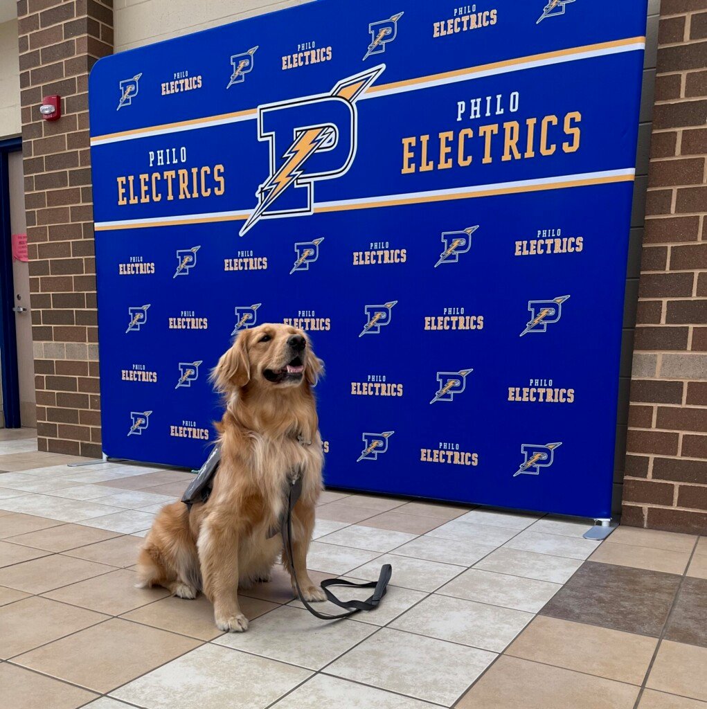 Mazey Philos Therapy Dog