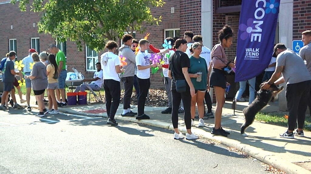 Alz Walk