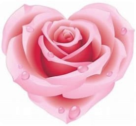 Rose Flower Heart