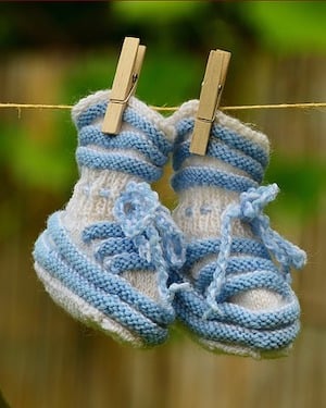 Bluebooties